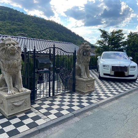 Vip Haus Winterberg别墅 外观 照片